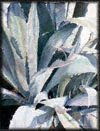 Agave