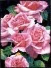 Roses,Roses,Roses